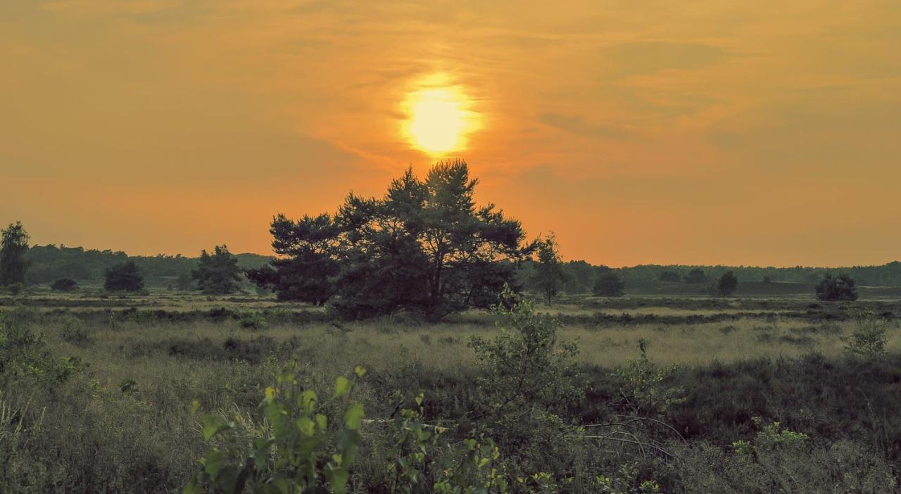 Lodge Koolmees Nunspeet Veluwe Dış mekan fotoğraf
